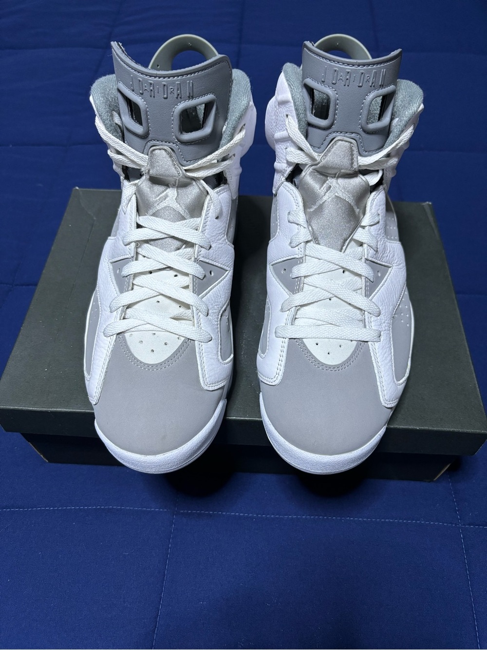 Jordan 6 Retro Cool Grey 2023 Size 11